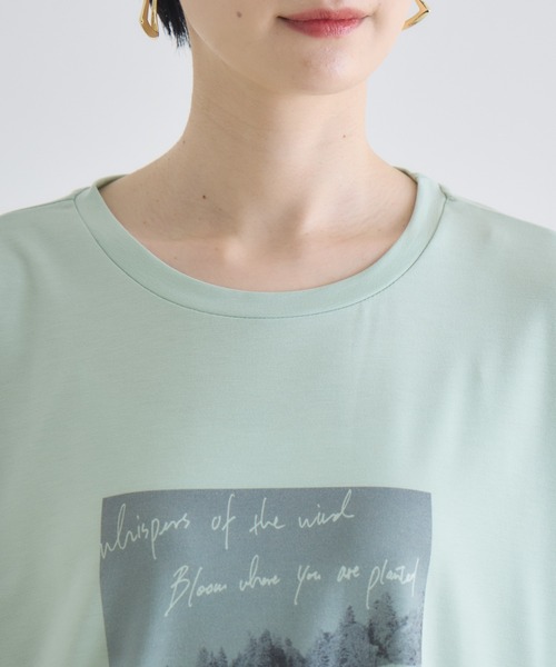 Paradise Picnic(パラダイスピクニック)の「SUGAR ROSE カウフォトタックロンT(Tシャツ/カットソー・レディース・ホワイト/ブラック/グリーン・FREE)」の12枚目の写真