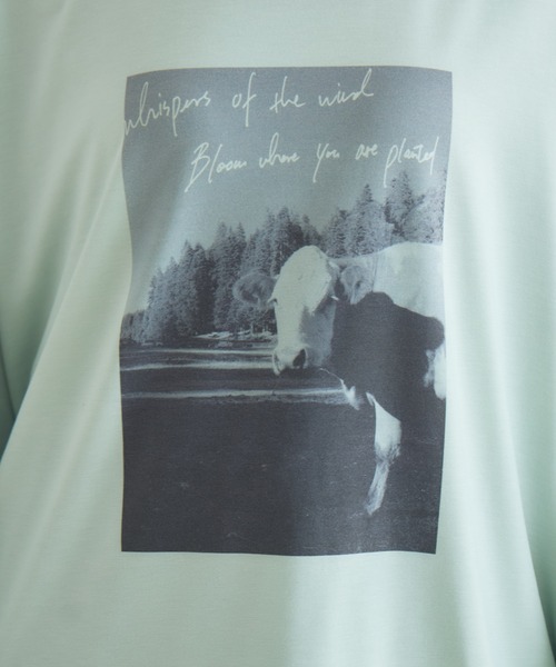 Paradise Picnic(パラダイスピクニック)の「SUGAR ROSE カウフォトタックロンT(Tシャツ/カットソー・レディース・ホワイト/ブラック/グリーン・FREE)」の6枚目の写真