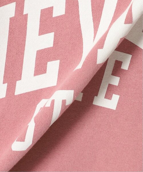 JOURNAL STANDARD relume(ジャーナルスタンダード レリューム)の「《WEB限定追加2》NEVADAロゴスウェット(スウェット・レディース・ピンク・FREE)」の18枚目の写真