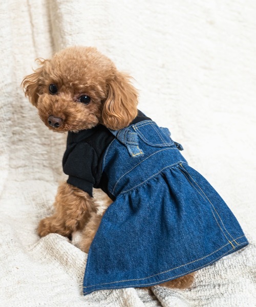Toyome(トヨミー)の「【飼い主と犬服のペアルックセット】防蚊加工パフ袖Tシャツ×デニムワンピース ジャンスカタイプ(ペットウェア・レディース・ブラック/ホワイト系その他/ホワイト・S/XXS/M/SS/L)」の10枚目の写真