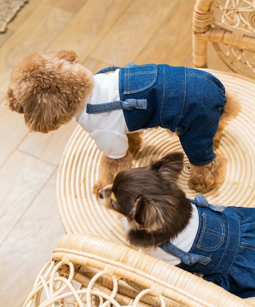Toyome(トヨミー)の「【飼い主と犬服のペアルックセット】防蚊加工パフ袖Tシャツ×デニムワンピース ジャンスカタイプ(ペットウェア・レディース・ブラック/ホワイト系その他/ホワイト・S/XXS/M/SS/L)」の18枚目の写真