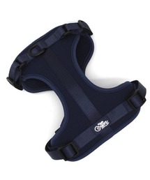 A.en(GCG )HARNESS([h/n[lX/)