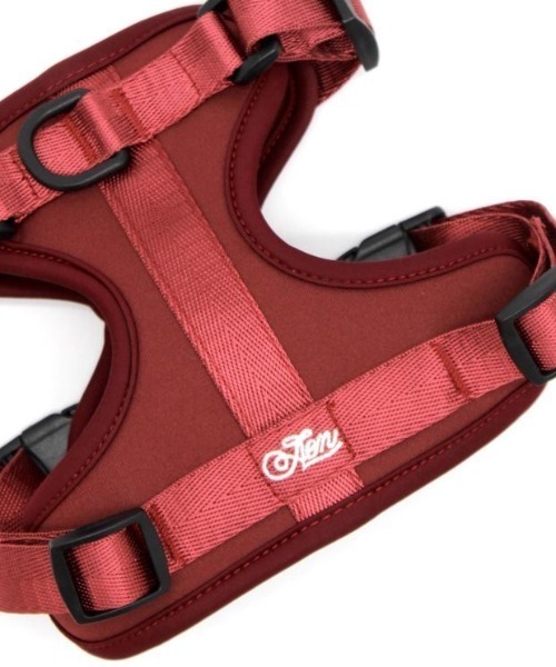 A.en（エイエン ）の「HARNESS（リード/ハーネス/首輪・メンズ・バーガンディー/ネイビー/オリーブ/グレー/ブラック/ベージュ・XS/L/M/S）」の10枚目の写真
