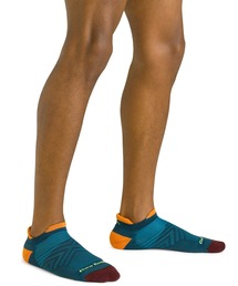 DARN TOUGH VERMONT（ダーンタフバーモント）の「【MADE IN USA】DARN TOUGH ダーンタフ Ms 1039 ランノーショウタブ ウルトラライトウェイトクッション（ソックス/靴下）」