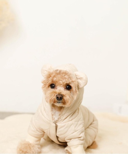 moncheri くま耳キルティングロンパース　犬服 moncheri（モンシェリ）の「くま耳キルティングロンパース/ 犬服