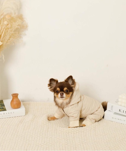 moncheri くま耳キルティングロンパース　犬服 くま耳キルティングジャンプスーツ – moncheri