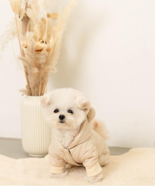 moncheri くま耳キルティングロンパース　犬服 くま耳キルティングジャンプスーツ – moncheri