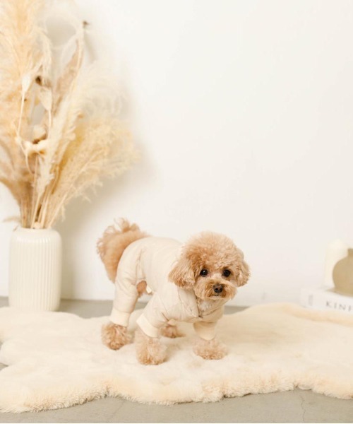 moncheri くま耳キルティングロンパース　犬服 moncheri（モンシェリ）の「くま耳キルティングロンパース/ 犬服