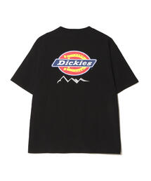 MANASTASH/マナスタッシュ×DICKIES/ディッキーズ/DICKIES TEE ORIGINAL LOGO