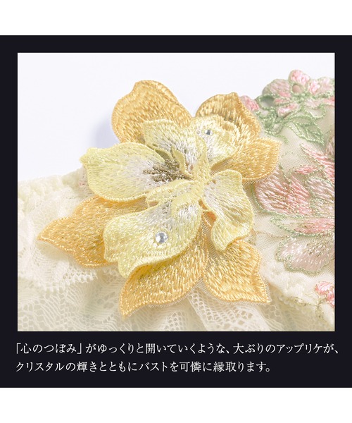 HIMICO（ヒミコ）の「ヒミコ 037シリーズ レギュラーショーツ M~L（ショーツ・レディース・ラベンダー/ブラック/アイボリー・LARGE/MEDIUM）」の10枚目の写真