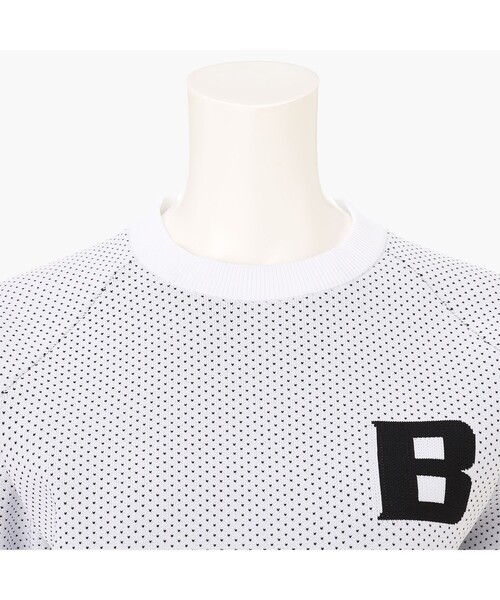 BRIEFING(ブリーフィング)の「【BRIEFING GOLF/ブリーフィングゴルフ】WOMEN’S BIRDS EYE KNIT CREWNECK(ニット/セーター・レディース・ブラウン系その他6/ホワイト・S/M)」の5枚目の写真