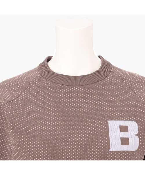 BRIEFING(ブリーフィング)の「【BRIEFING GOLF/ブリーフィングゴルフ】WOMEN’S BIRDS EYE KNIT CREWNECK(ニット/セーター・レディース・ブラウン系その他6/ホワイト・S/M)」の14枚目の写真