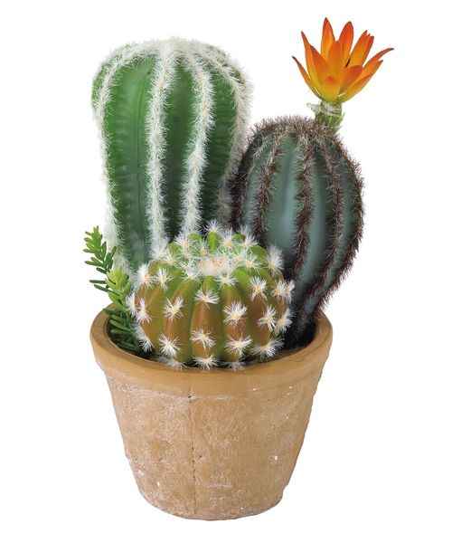 セール フェイクグリーン 花サボテン寄せ植え ラウンドポット レクトポット Sサイズ インテリア雑貨 Spice Of Life スパイス オブ ライフ のファッション通販 Zozotown