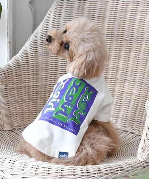 X-girl（エックスガール）の「X-girl/トリプルミルズロゴT（ペットウェア・レディース・ホワイト/ライトブルー・XS/S/M/L/2L/3L/3S/3M）」の2枚目の写真