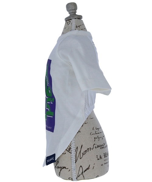 X-girl（エックスガール）の「X-girl/トリプルミルズロゴT（ペットウェア・レディース・ホワイト/ライトブルー・XS/S/M/L/2L/3L/3S/3M）」の5枚目の写真