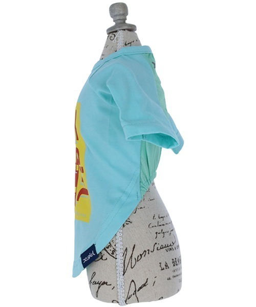 X-girl（エックスガール）の「X-girl/トリプルミルズロゴT（ペットウェア・レディース・ホワイト/ライトブルー・XS/S/M/L/2L/3L/3S/3M）」の8枚目の写真