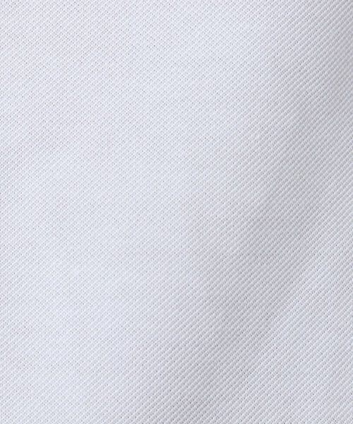 NOLLEY'S goodman（ノーリーズグッドマン）の「《ビジカジ対応》ドライマスター テープポロシャツ（ポロシャツ・メンズ・ネイビー/ブルー系その他7/ホワイト系その他4/パープル系その他4/ホワイト/ブルー/ホワイト系その他6・S/M/XL/L）」の8枚目の写真