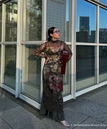 Ameri（アメリ）の「AMERI×THE MET SHEER DRESS（ワンピース）」 - WEAR 