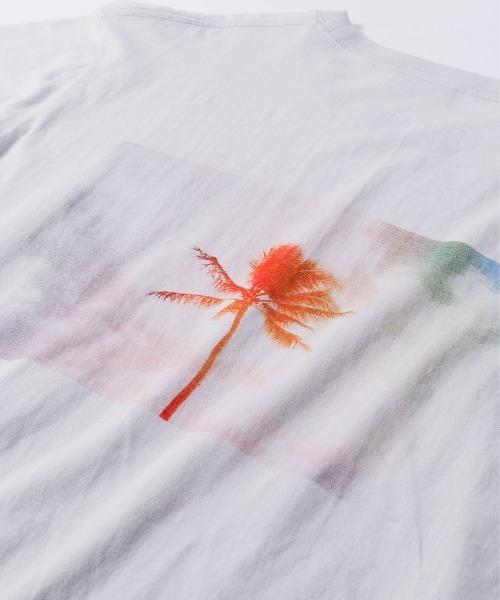 【セール】【コラボ企画】OS×U-SKE PALMTREE L/S TEE/オフショア×U-SKE パームツリーロングスリーブティ（Tシャツ/カットソー）｜OFFSHORE（オフショア）