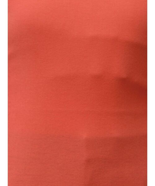 Ungrid（アングリッド）の「シアーフィットロングスリーブTee（Tシャツ/カットソー・レディース・オレンジ/ブラック/レッド/オフホワイト/ブルー・FREE）」の12枚目の写真