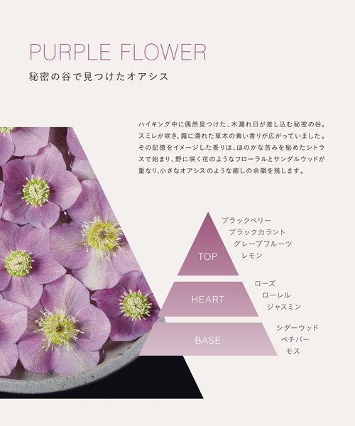 john ｍasters organics（ジョンマスターオーガニック）の「C&Vコンディショナー パープルフラワー 236mL（コンディショナー・レディース・グリーン・FREE）」の2枚目の写真