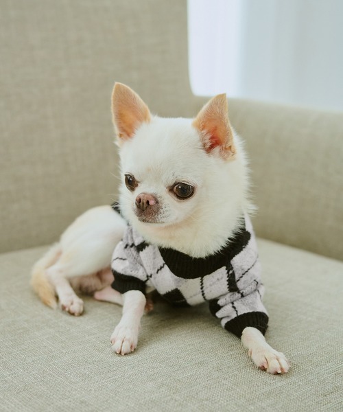 ROPE' PICNIC(ロペピクニック)の「【DOG】アーガイルニットプルオーバー(ペットウェア・レディース・ブラック/ベージュ・M size/L/M/S)」の14枚目の写真