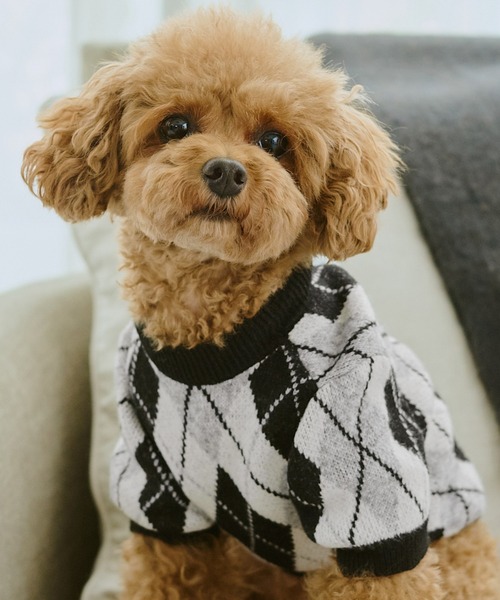 ROPE' PICNIC(ロペピクニック)の「【DOG】アーガイルニットプルオーバー(ペットウェア・レディース・ブラック/ベージュ・M size/L/M/S)」の17枚目の写真