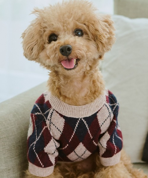 ROPE' PICNIC(ロペピクニック)の「【DOG】アーガイルニットプルオーバー(ペットウェア・レディース・ブラック/ベージュ・M size/L/M/S)」の19枚目の写真