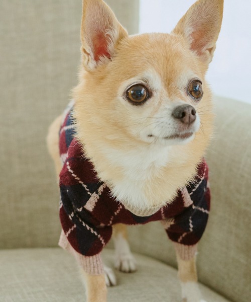 ROPE' PICNIC(ロペピクニック)の「【DOG】アーガイルニットプルオーバー(ペットウェア・レディース・ブラック/ベージュ・M size/L/M/S)」の21枚目の写真