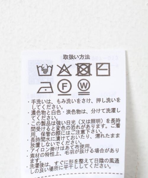 ITEMS URBANRESEARCH（アイテムズ アーバンリサーチ）の「ミニシャギーVネックニット（ニット/セーター・レディース・チャコールグレー/アイボリー/グリーン・FREE）」の12枚目の写真