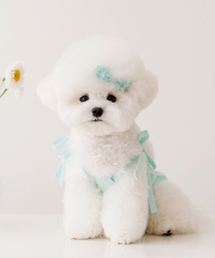 MY LITTLE DOG（マイ リトル ドッグ）の「Ribbon Tie Frill Blouse - Blue（ペットウェア）」