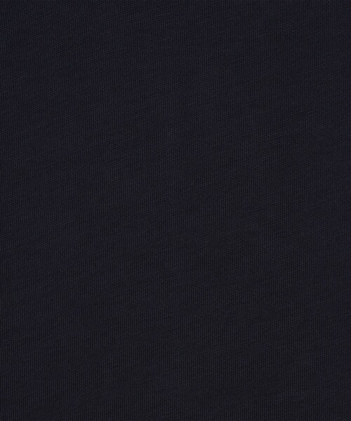 SUNSPEL(サンスペル)の「SUNSPEL ヘビーウェイト クラシック Tシャツ(Tシャツ/カットソー・メンズ・ブラック/ネイビー/ホワイト・L/M)」の12枚目の写真