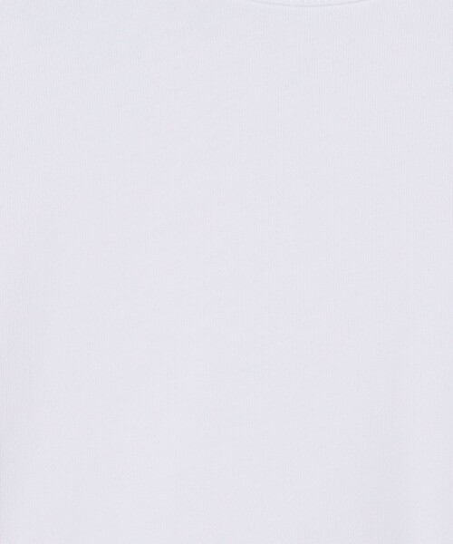 SUNSPEL(サンスペル)の「SUNSPEL ヘビーウェイト クラシック Tシャツ(Tシャツ/カットソー・メンズ・ブラック/ネイビー/ホワイト・L/M)」の13枚目の写真