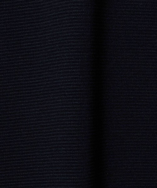 A DAY IN THE LIFE UNITED ARROWS(アデイインザライフユナイテッドアローズ)の「シルケット ダブルフェイス リップル カットソー<A DAY IN THE LIFE>(Tシャツ/カットソー・メンズ・ライトグレー/ホワイト/ネイビー・M/L/S)」の21枚目の写真