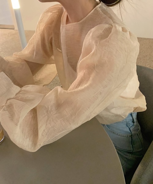 Dita Muaj.(ディータムアージュ)の「ビショップスリーブシースルートップス(シャツ/ブラウス・レディース・ブラック/アイボリー/ホワイト・FREE)」の9枚目の写真