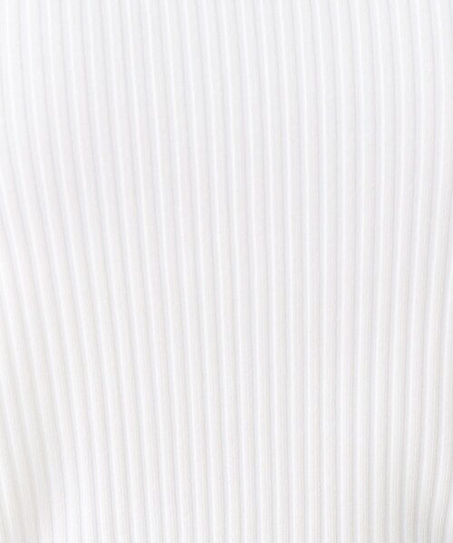 couture brooch（クチュールブローチ）の「◆スカラ刺繍前後2WAYテレコトップス（Tシャツ/カットソー・レディース・ライトグリーン/ブラック/オフホワイト・36/38/40/42）」の22枚目の写真