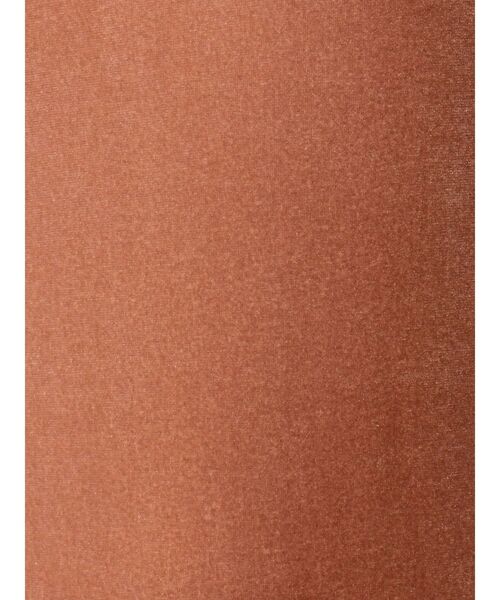 Ungrid（アングリッド）の「ベロアフィットTee（Tシャツ/カットソー・レディース・オレンジ/グリーン/ヘザーグレー・FREE）」の20枚目の写真