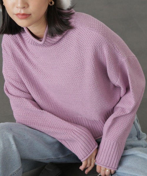 FREE'S MART(フリーズマート)の「◇4者混鹿の子ショート丈タートルネックニット(ニット/セーター・レディース・オフホワイト/ライトグリーン/ブラック/ピンク/ブルー・FREE)」の1枚目の写真