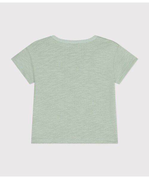 PETIT BATEAU(プチバトー)の「コットンプリント半袖Tシャツ(Tシャツ/カットソー・キッズ・ホワイト/ブラウン/ブルー/ライトグリーン・24MONTH/12MONTH/18MONTH/36MONTH)」の7枚目の写真