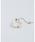 ChooMia�i�`���~�A�j�́u�V�R�W���o���b�N�p�[���`�F�[�������O�i�����O�j�v�b�V���o�[
