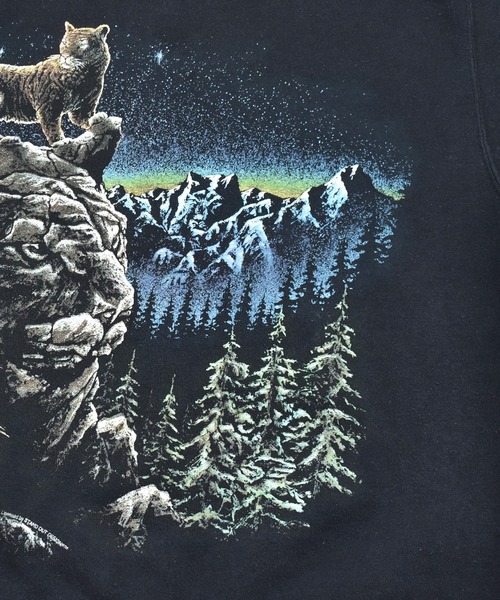 【ヴィンテージ古着】90’s TULTEX Stand OUT タイガー アニマルプリントスウェット（スウェット）｜VINTAGE（ヴィンテージ）