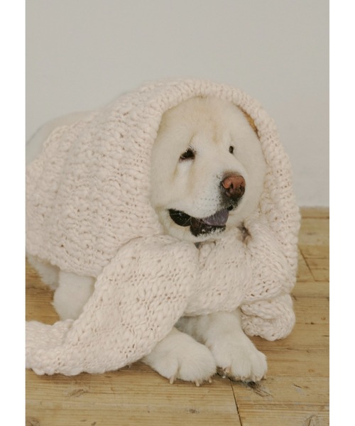 NOTREemor(ノートルエモア)の「emor handmade knit tops(ニット/セーター・レディース・ベビーピンク/ボルドー/ホワイト・FREE)」の14枚目の写真