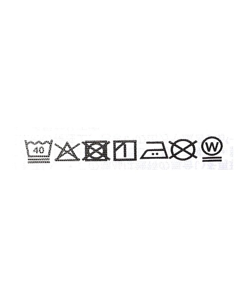 Ray BEAMS(レイビームス)の「【7/31再値下げ】【別注】Champion / ロング ワンピース(ワンピース・レディース・ブラック/パープル・MEDIUM)」の3枚目の写真