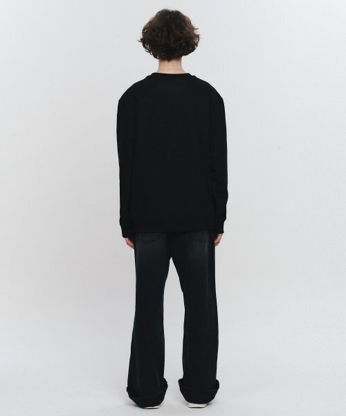 Bravado(ブラヴァド)の「ACDC Demon Fire Sweatshirt BK (BRENT2325)(スウェット・メンズ・その他・L/M/XL)」の4枚目の写真