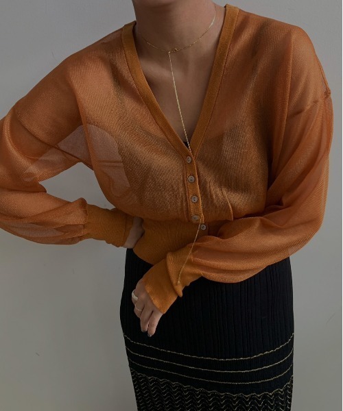 Ameri(アメリ)の「2WAY SHEER COMPACT KNIT CARDIGAN(カーディガン/ボレロ・レディース・ブラック/オレンジ/グリーン系その他・FREE)」の1枚目の写真