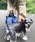 ROOTOTE�i���[�g�[�g�j�́u���[�g�[�g/SN.�X�N�G�A.DOG.BUDDY-B�i���̑��y�b�g�O�b�Y�j�v�b�u���[�n���̑�