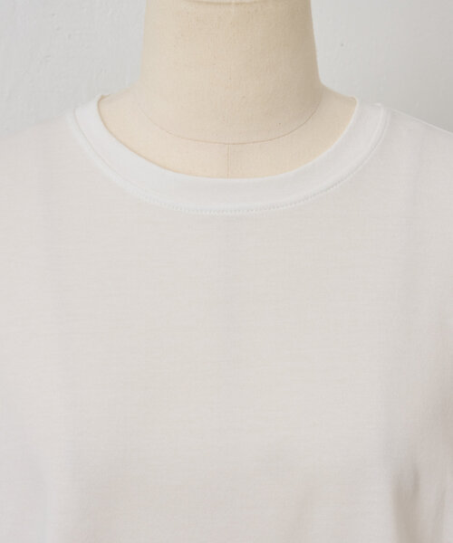 【ビアズリー】ニットコンビカットソー BEARDSLEY tシャツ ニットコンビカットソー レディース