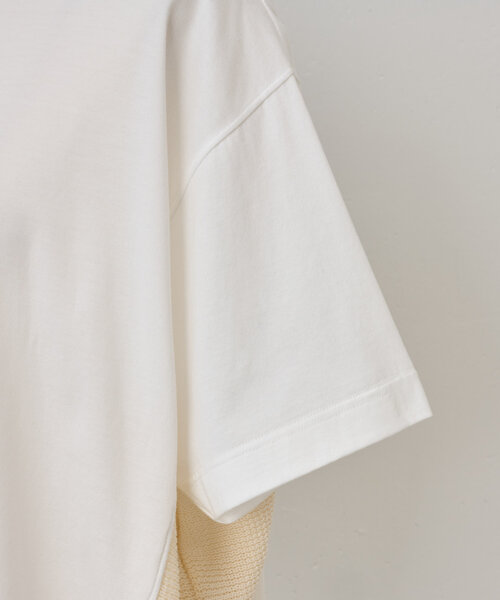 美品☆BEARDSLEY☆シャツコンビカットソー グレー×ホワイト フリーサイズ BEARDSLEY tシャツ ストライプコンビカットソー レディース