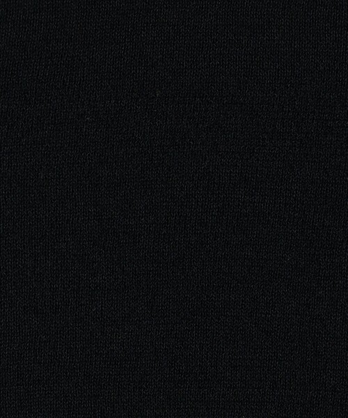 MACPHEE（マカフィー）の「シアーウールブレンド ハーフスリーブプルオーバー（ニット/セーター・レディース・ライトグレー/ネイビー/パープル・S）」の10枚目の写真