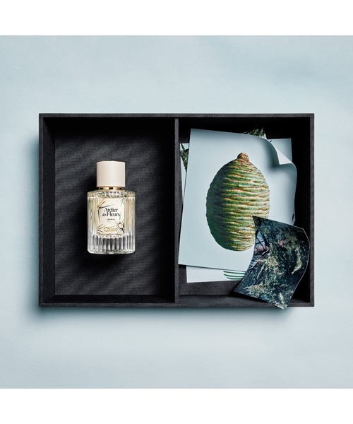 クロエ アトリエ デ フルール シダー オードパルファム (限定） 50mL